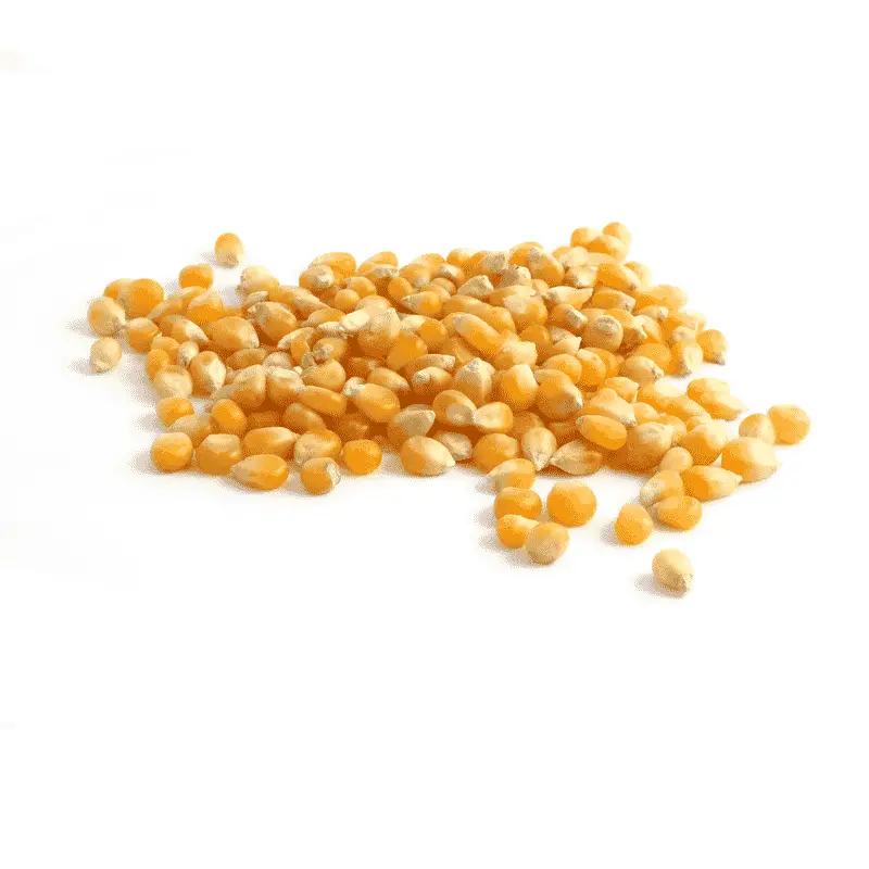 Maïs 10kg