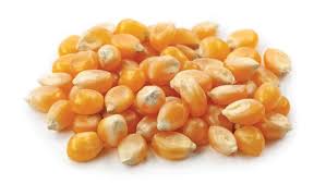 Maïs 25 kg